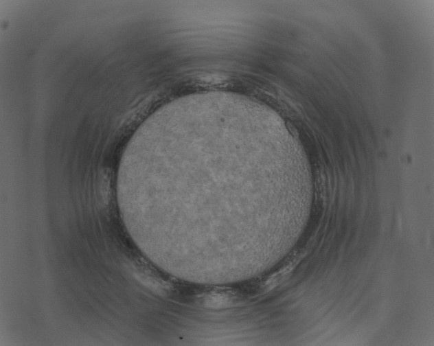 X0000073410412200608251530