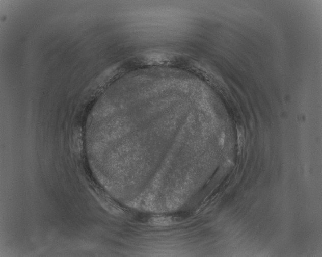 X0000073410413200608251530