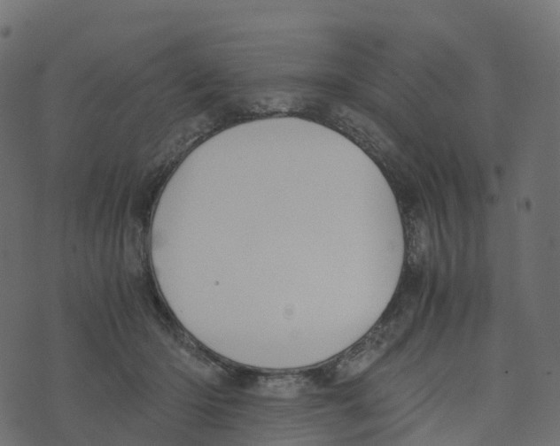 X0000073410414200608251530