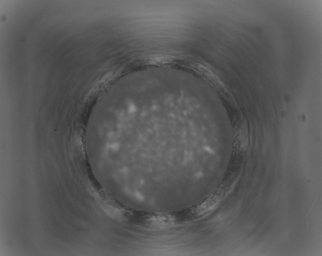 X0000073410415200608251530