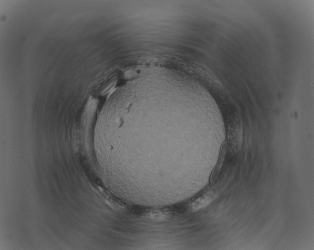 X0000073410416200608251530