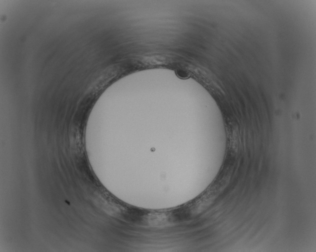 X0000073410418200608251530