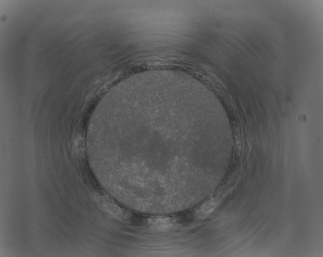 X0000073410419200608251530