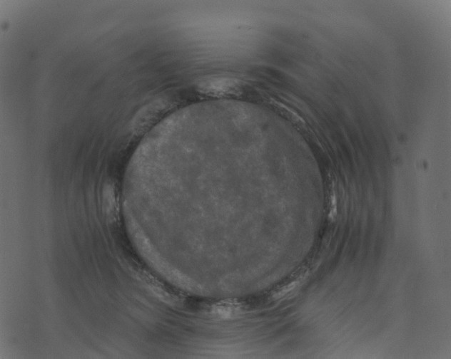 X0000073410420200608251530