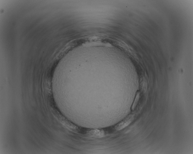 X0000073410421200608251530