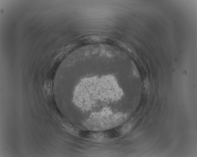 X0000073410423200608251530