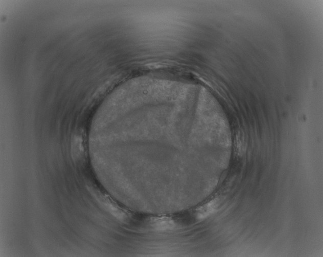 X0000073410424200608251530