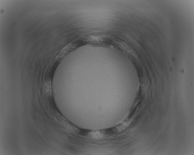 X0000073410425200608251530