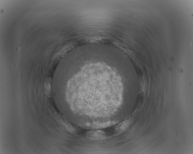 X0000073410427200608251530