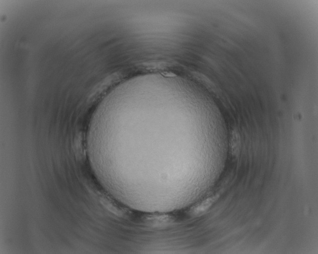 X0000073410428200608251530