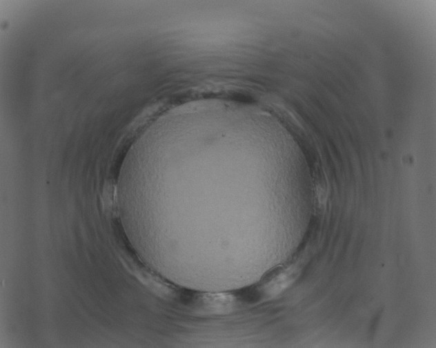 X0000073410429200608251530