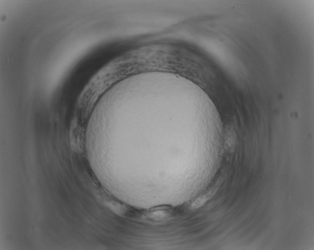 X0000073410431200608251529