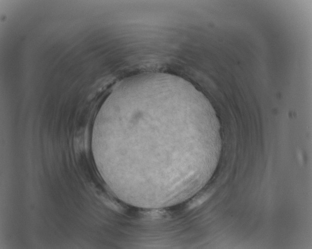 X0000073410432200608251529