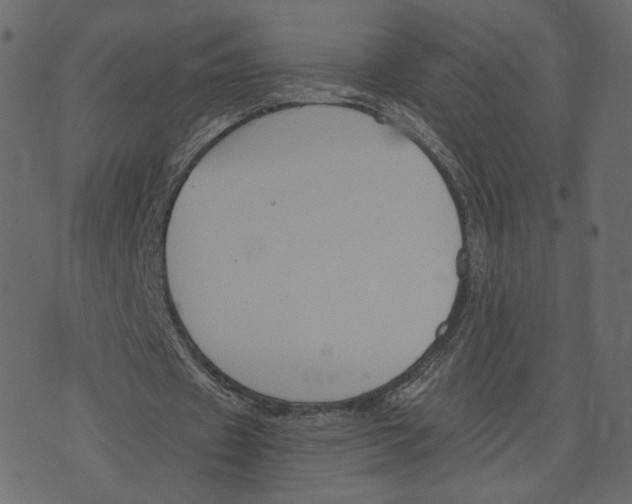 X0000073410433200608251529