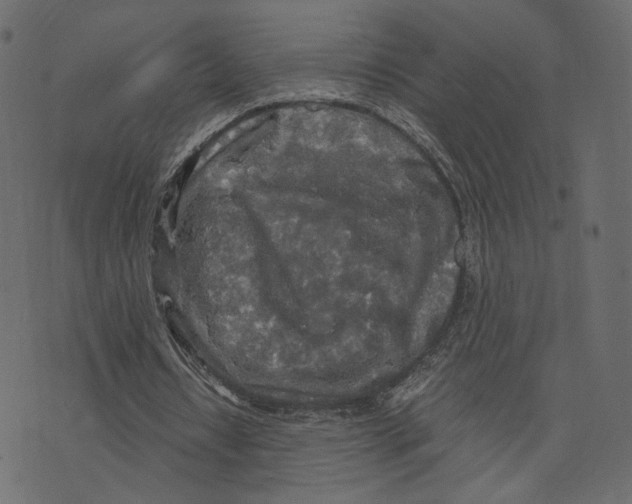 X0000073410434200608251529