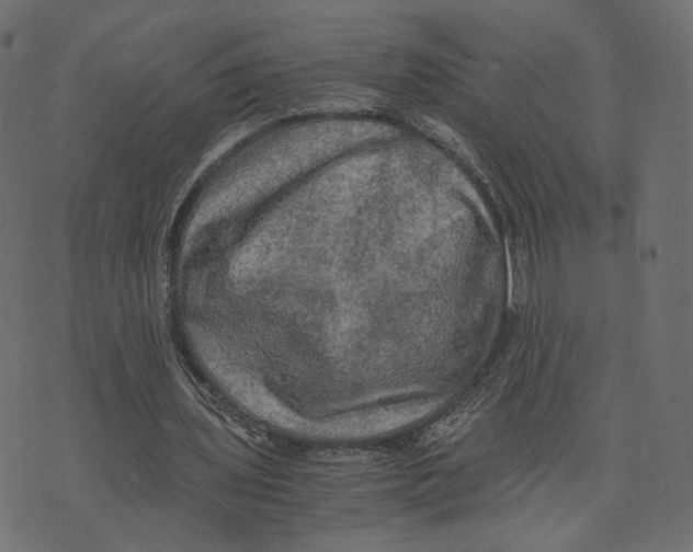 X0000073410435200608251529