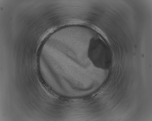 X0000073410436200608251529