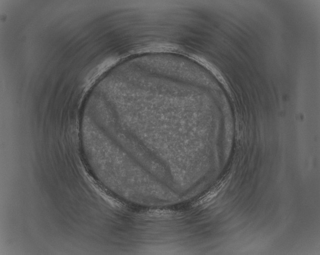 X0000073410437200608251529