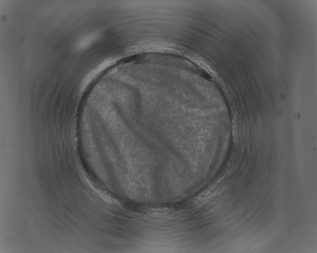 X0000073410438200608251529