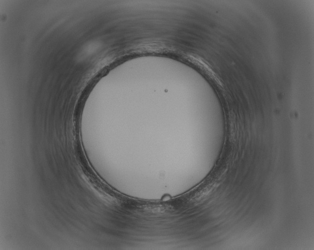 X0000073410439200608251529