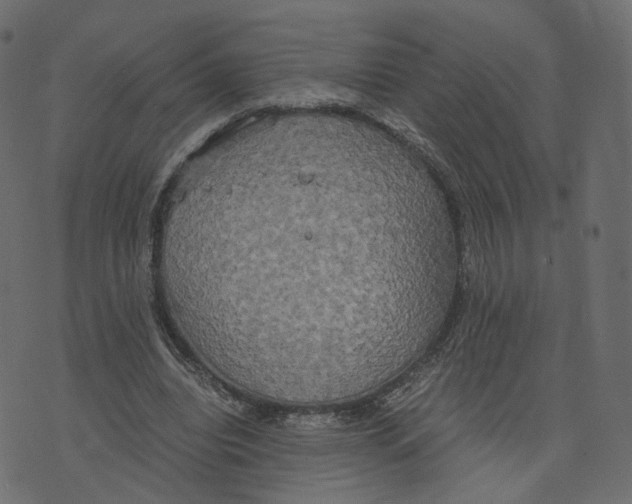 X0000073410440200608251529