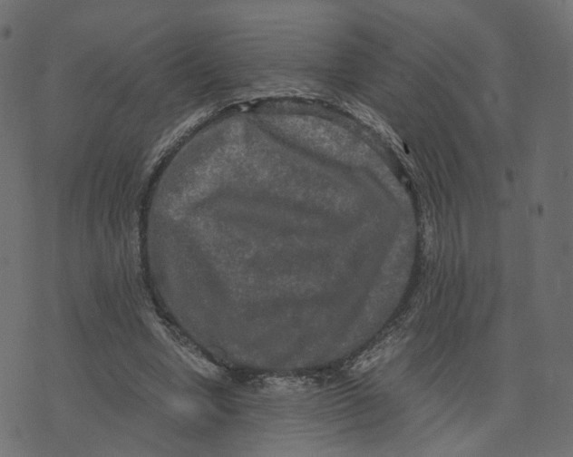 X0000073410442200608251529