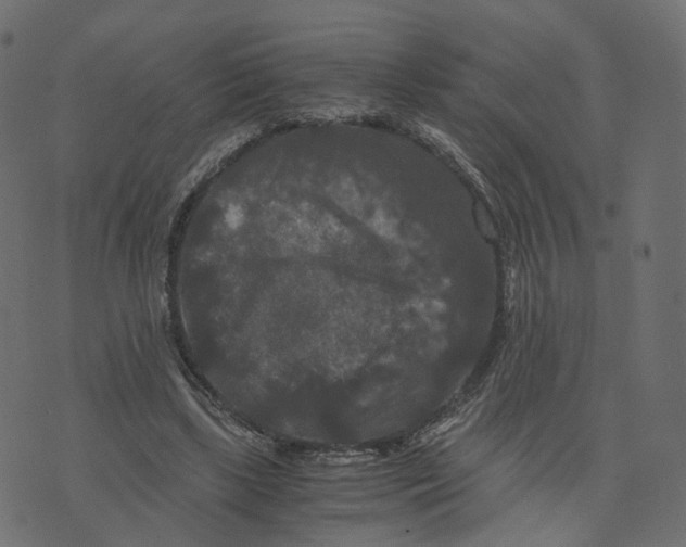 X0000073410443200608251529