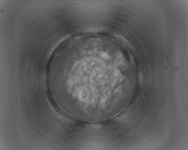 X0000073410444200608251529