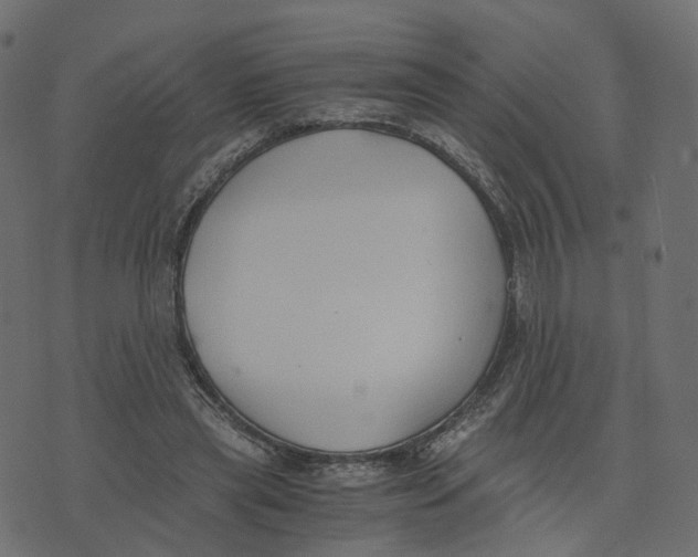 X0000073410445200608251529