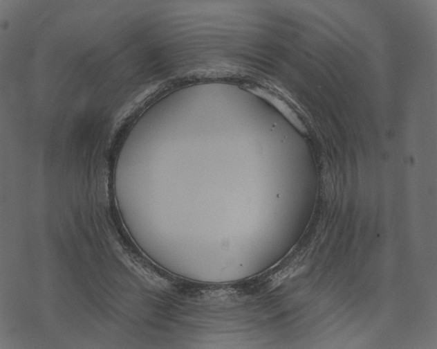 X0000073410446200608251529