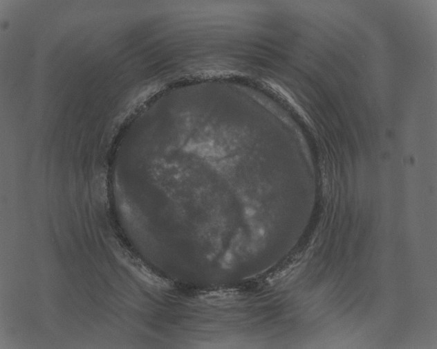 X0000073410447200608251529