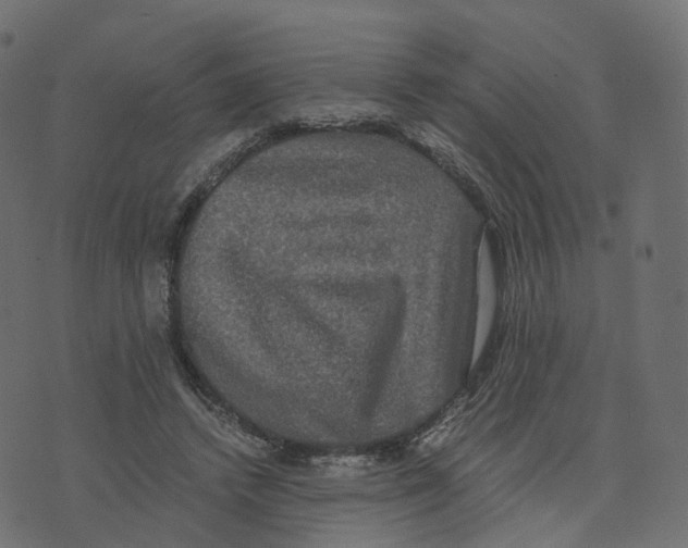 X0000073410448200608251529