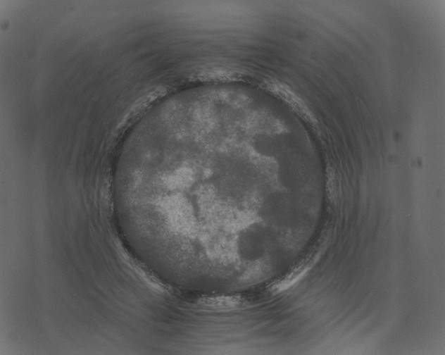 X0000073410449200608251529