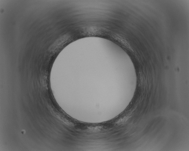 X0000073410450200608251529