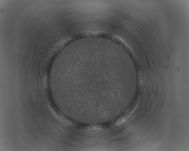 X0000073410451200608251529