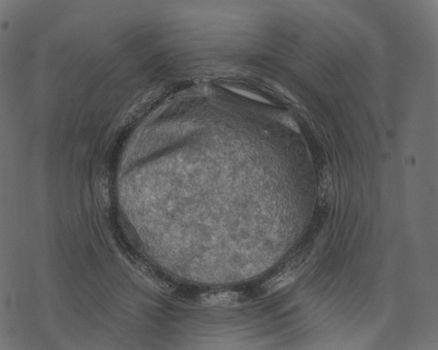 X0000073410452200608251529