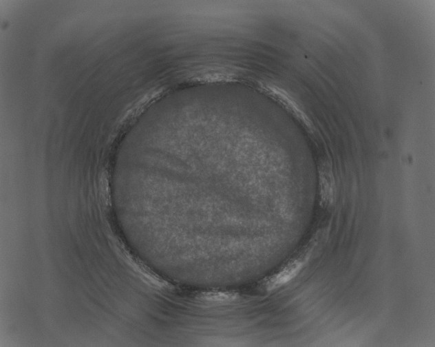 X0000073410453200608251529