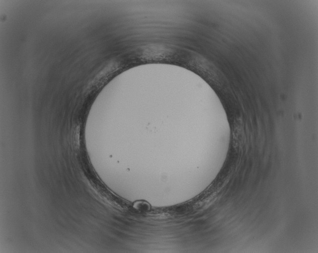 X0000073410454200608251529