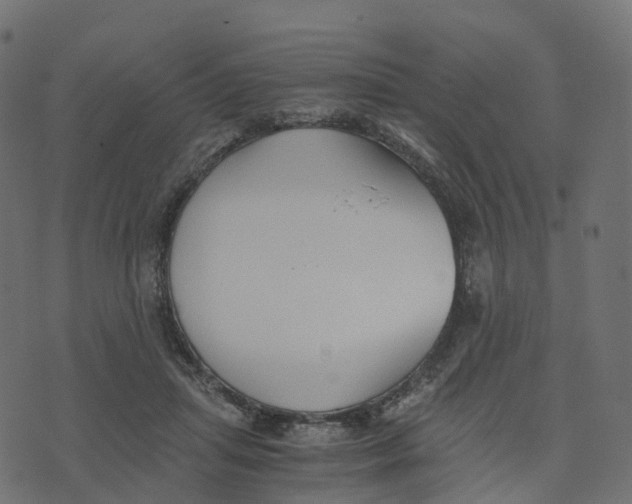 X0000073410455200608251529