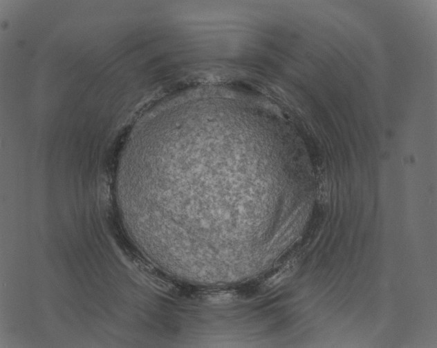 X0000073410456200608251529