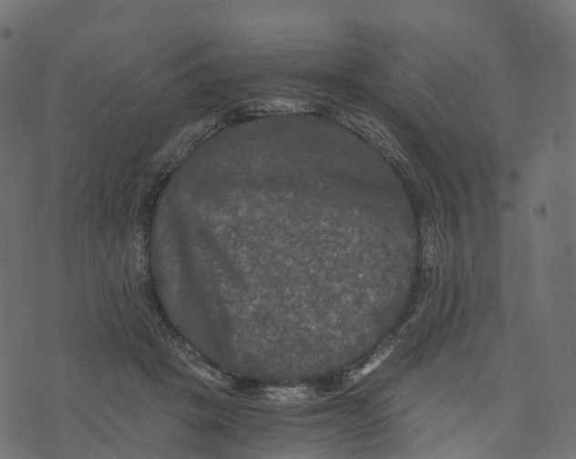 X0000073410457200608251529