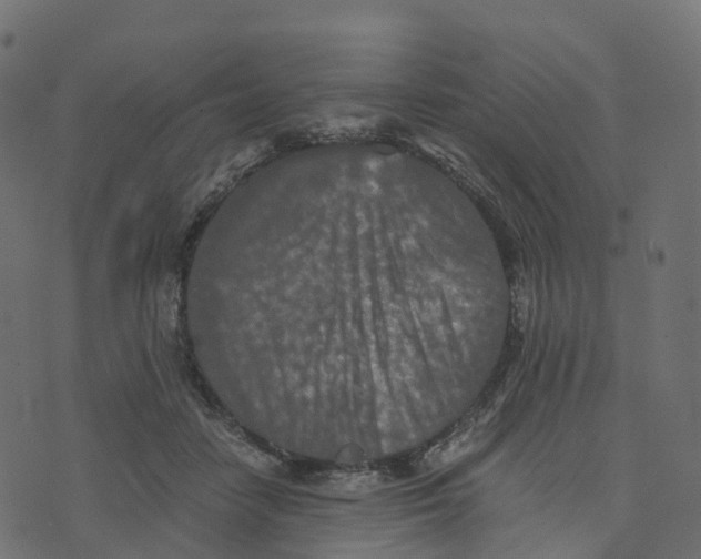 X0000073410458200608251529