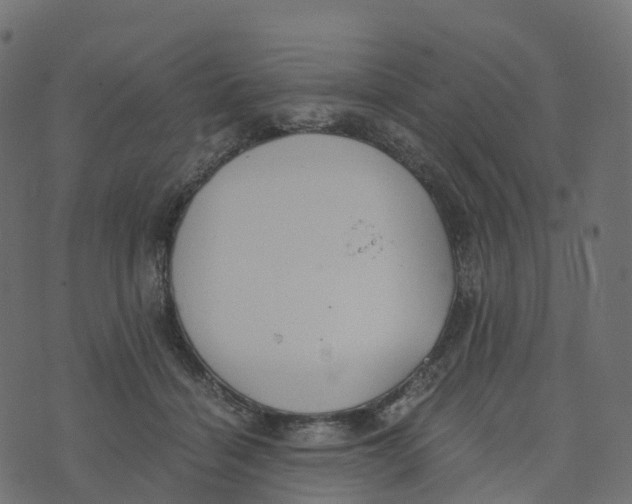 X0000073410460200608251529