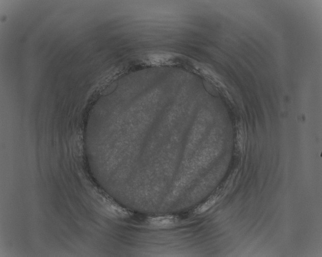 X0000073410461200608251529