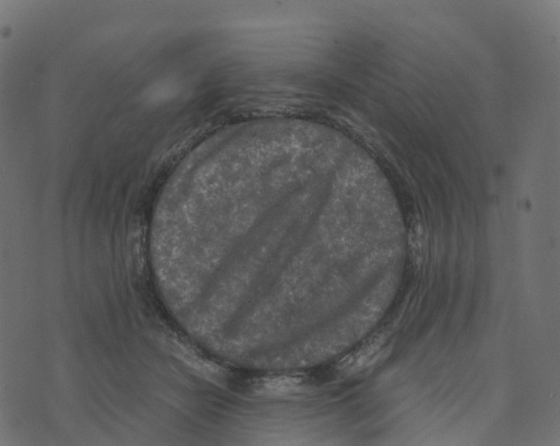 X0000073410462200608251529