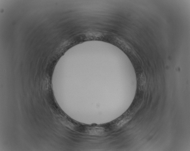 X0000073410463200608251529