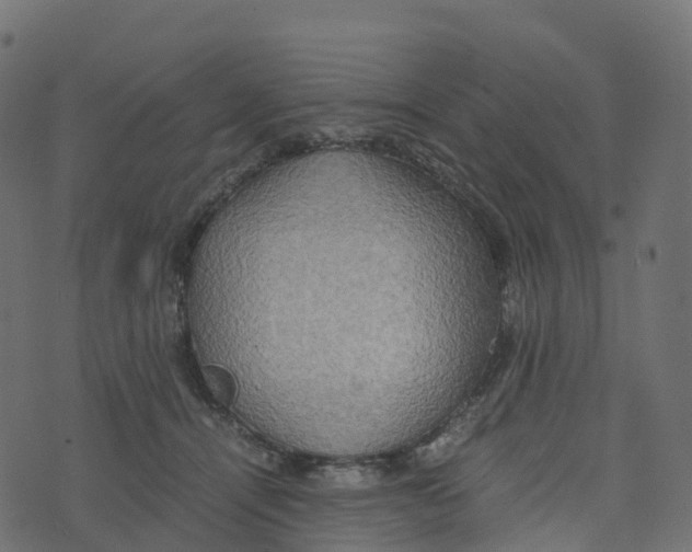 X0000073410464200608251529