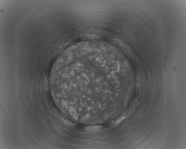 X0000073410465200608251529