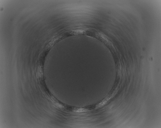 X0000073410467200608251529