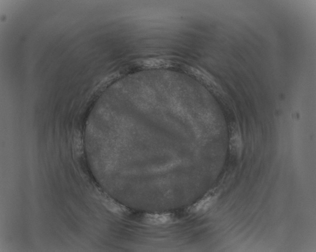 X0000073410469200608251529